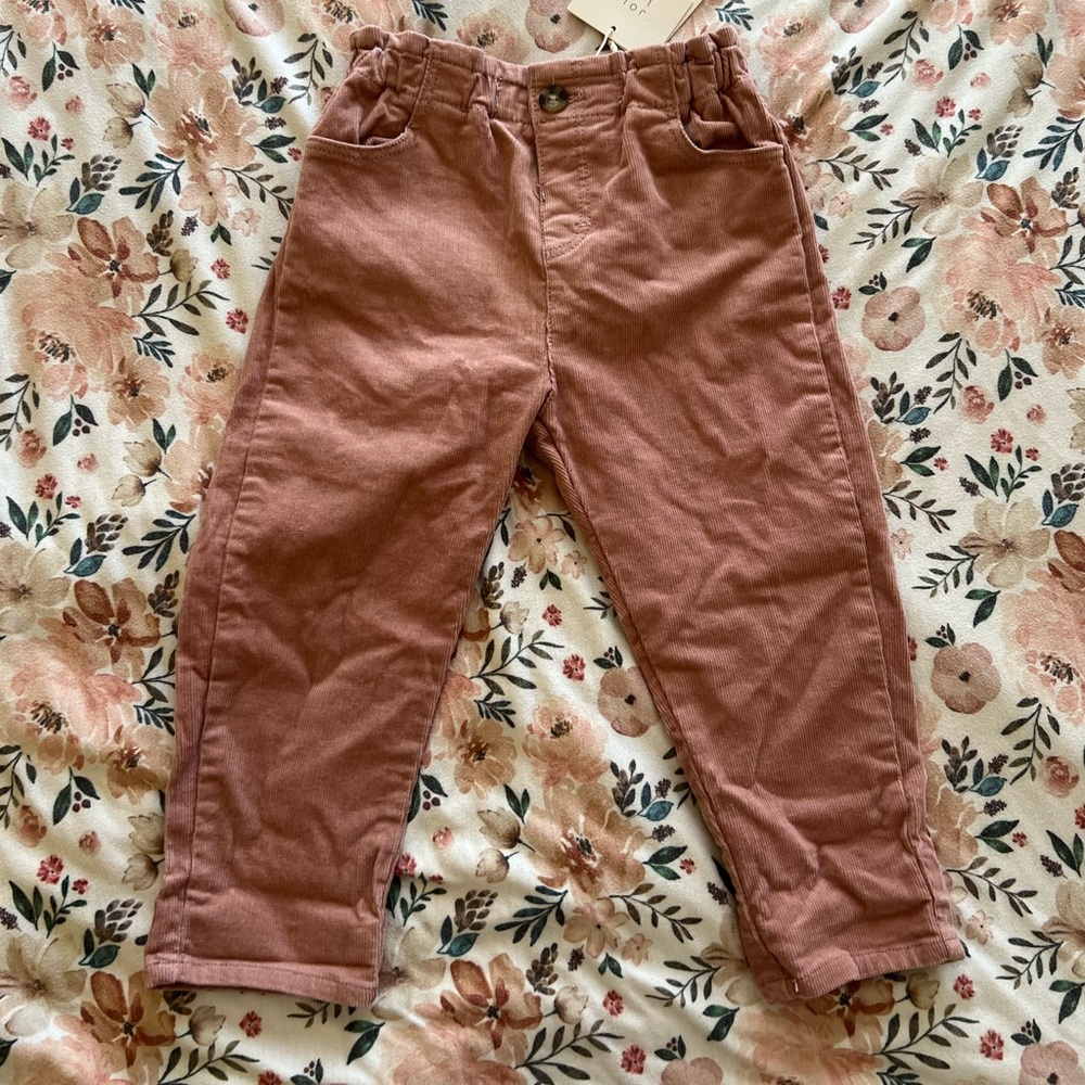 NWT Zara Pants